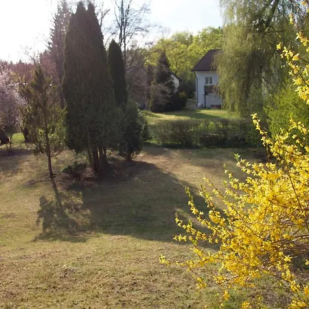 Sonne Apartment Bad Duerrheim